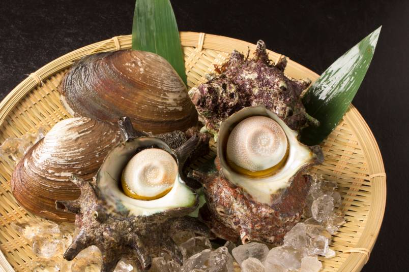 BBQ用ハマグリ、サザエプレゼント！